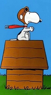 Snoopy Dog, 16 октября 1986, Луцк, id22062421